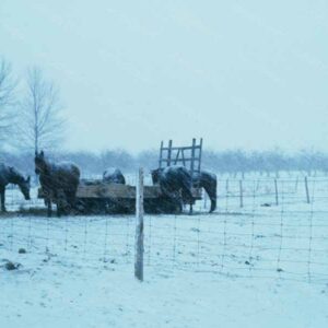 Baby Its Cold Outside