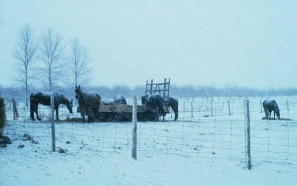 Baby Its Cold Outside