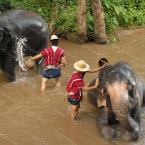 Bath Time in the Mae Sa Valley Thailand