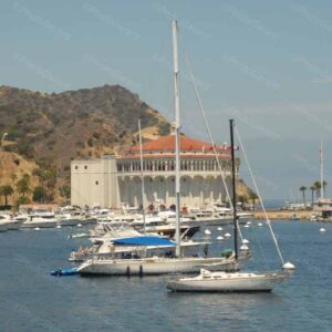 Catalina Island California
