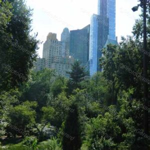 Central Park New York City
