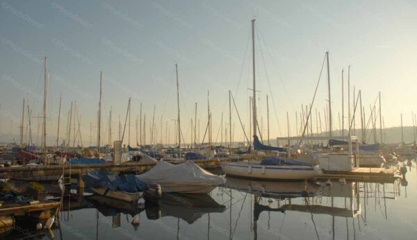 Early Morning Lake Geneva Switzerland