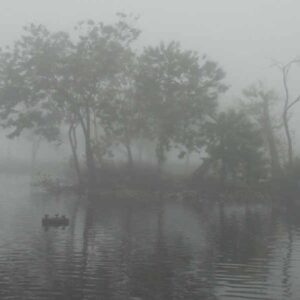 Fog On The Water