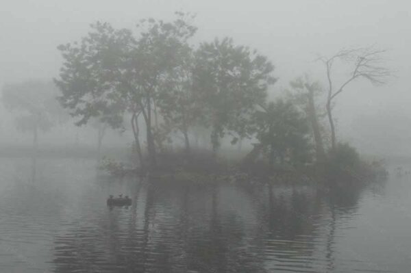 Fog On The Water