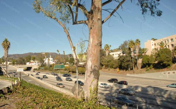Hollywood Freeway Los Angeles California