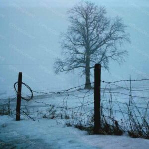 In The Cold Dead Of Winter