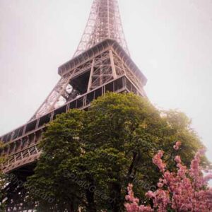 Paris in the Springtime