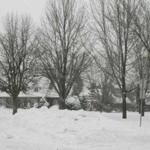 Snow Flurries Montreal Canada