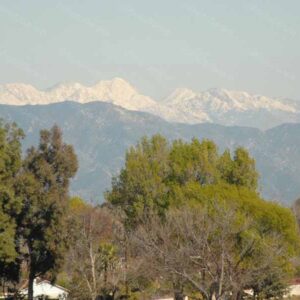 Unexpected View from Los Angeles California