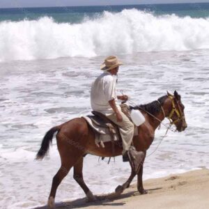 Vaquero on Beach Cabo San Lucas Mexico