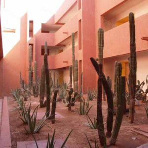 Xeriscape Sunset Mexico